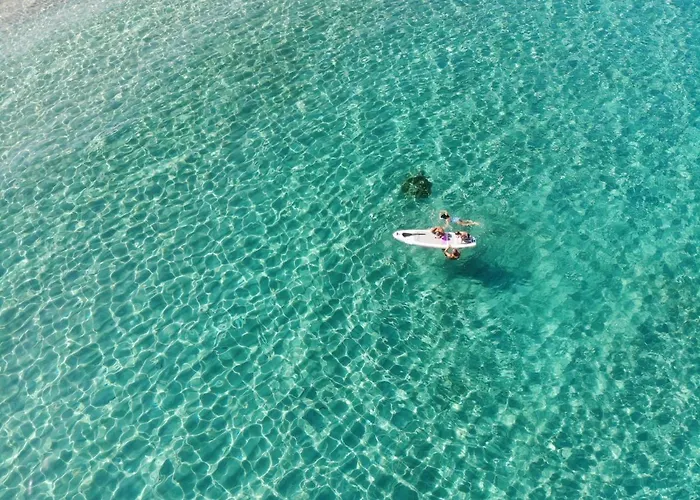 Mango アパート ニキティ