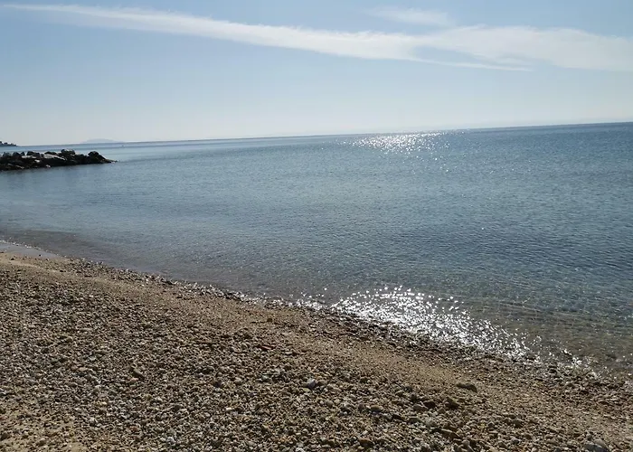 Mango * ニキティ